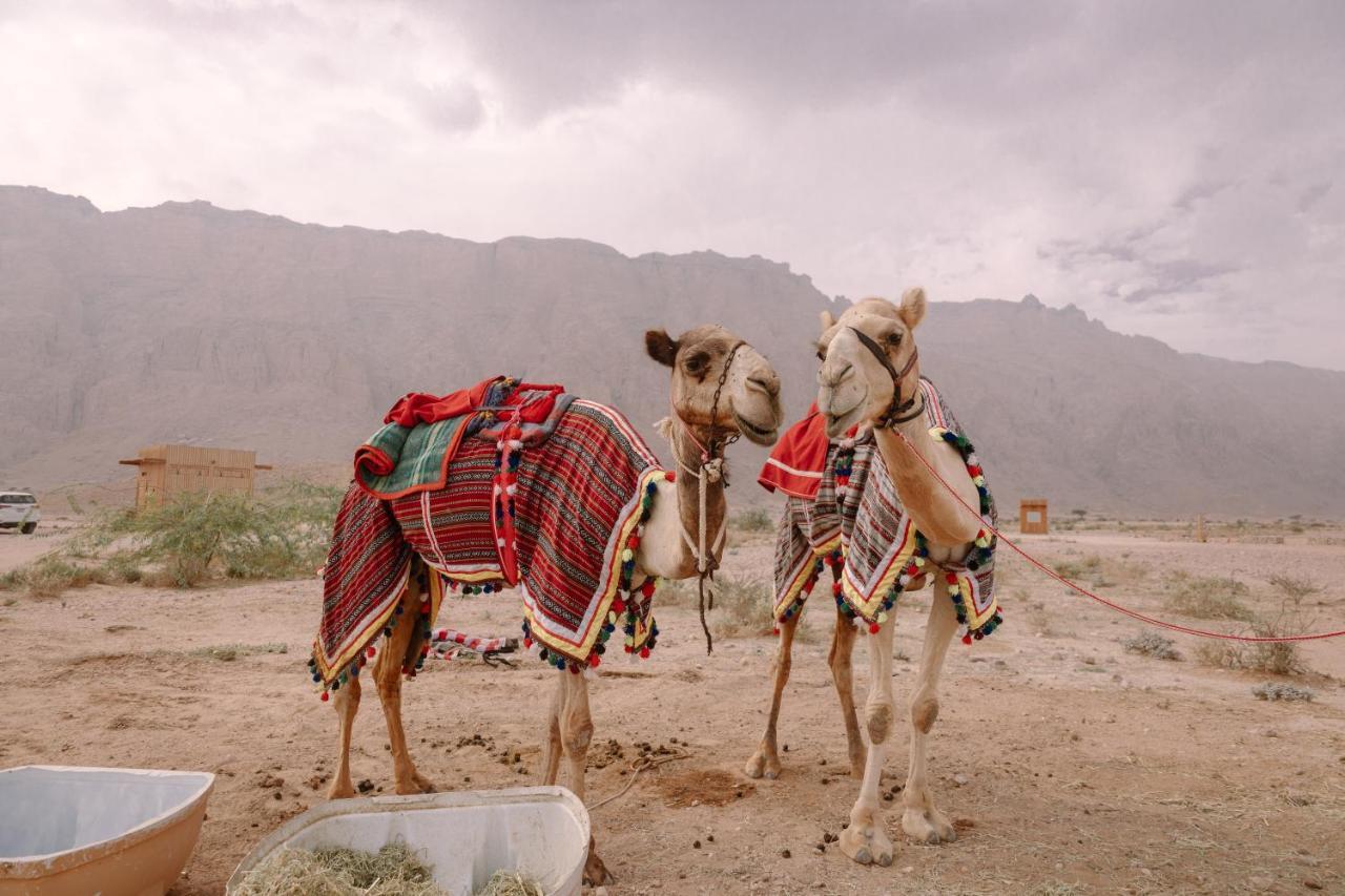 Pura Eco Retreat, Jebel Hafit Desert Park 艾因 外观 照片