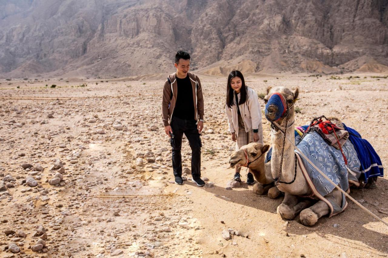 Pura Eco Retreat, Jebel Hafit Desert Park 艾因 外观 照片